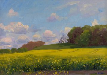 Spring afternoon light, Stockton Wiltshire